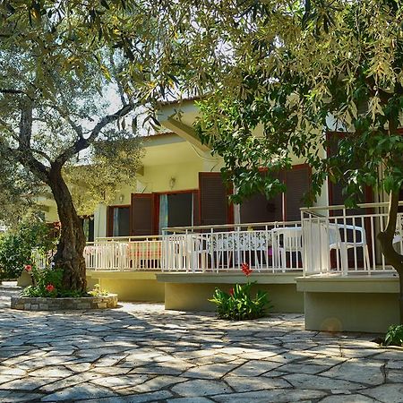 Guesthouse Irene Afissos Exterior photo