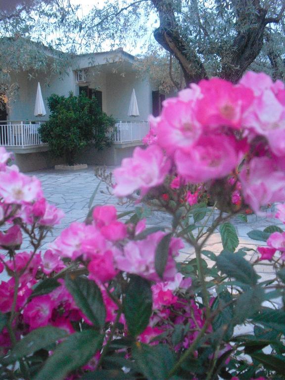 Guesthouse Irene Afissos Exterior photo
