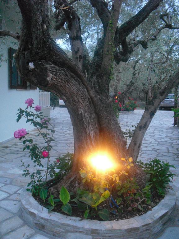 Guesthouse Irene Afissos Exterior photo