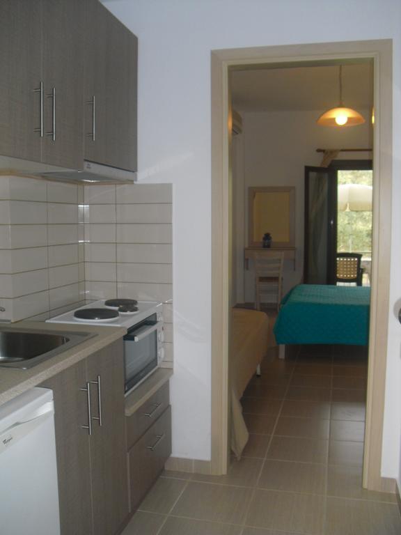 Guesthouse Irene Afissos Exterior photo